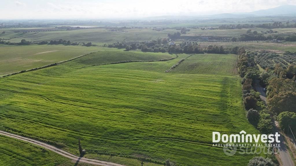 Rustico / Casale di 289 m² a Capalbio - Vista 6