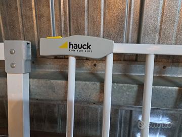 cancellino hauck per scala