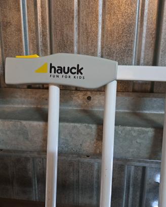 cancellino hauck per scala