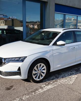 Skoda Octavia 2.0 TDI 150 CV DSG Wagon Selection