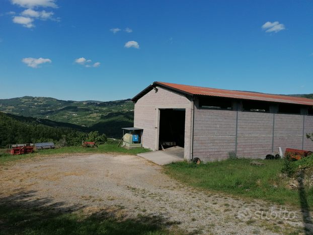 Terreno 35 ettari + casa, stalla e capannone