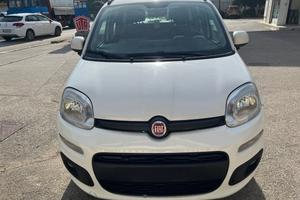 Panda targa polacca