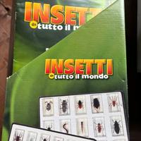 collezione di insetti