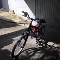 Mountain bike da 20