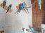 Immagine 6