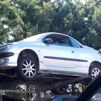 Peugeot 206 cc cabrio coupe A3-620