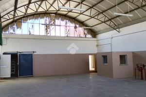 CAPANNONE A SAVIGNANO SUL RUBICONE