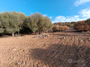 Terreno ideale per case mobili