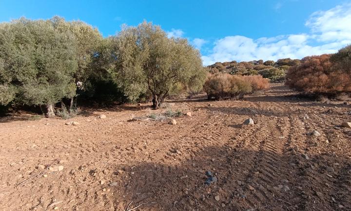 Terreno ideale per case mobili