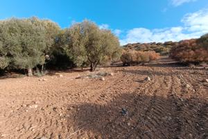 Terreno ideale per case mobili