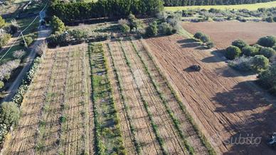 TER. AGRICOLO A SESTU