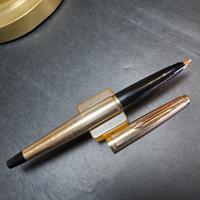 Parker 45 Insignia Stilografica Vintage 