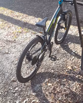 mtb 24 