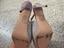 Immagine 3