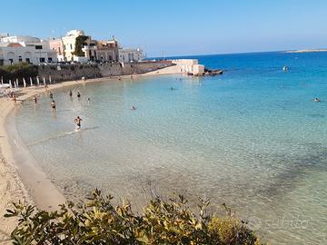Settembre last minute