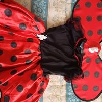 abito carnevale coccinella tg 2 anni