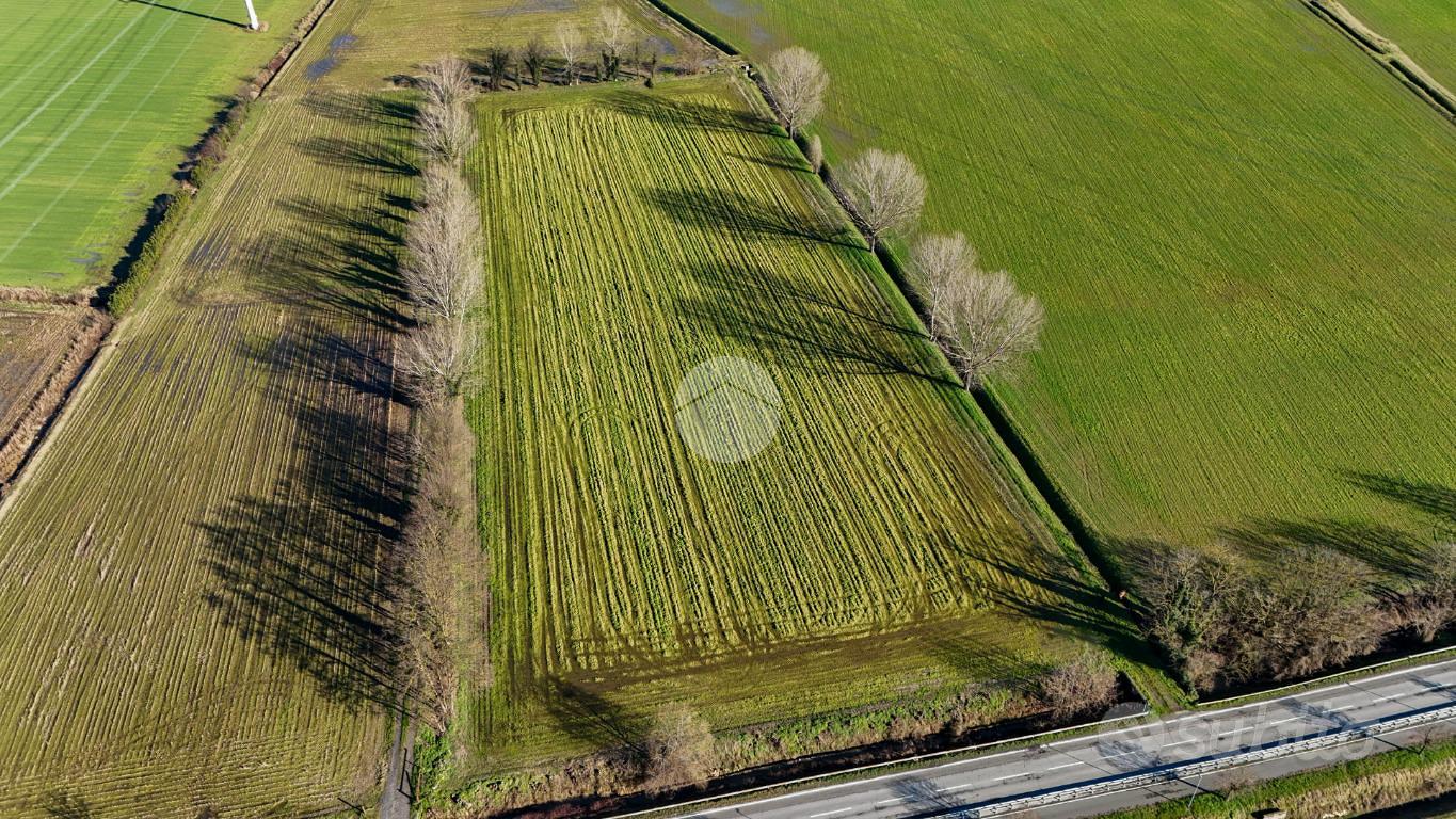 TER. AGRICOLO A SANTO STEFANO LODIGIANO - Vista 3