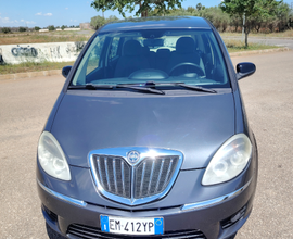Lancia musa