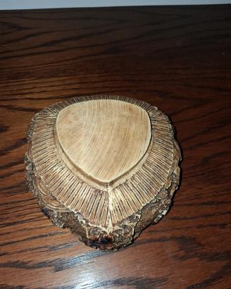 posacenere e ciotola 