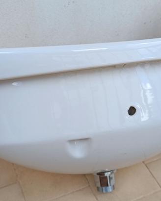 Lavandino Flaminia