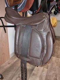 sella inglese olimpica 