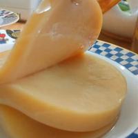 Scoby Kombucha di tè verde + starter + istruzioni 