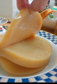 Scoby Kombucha di tè verde + starter + istruzioni 