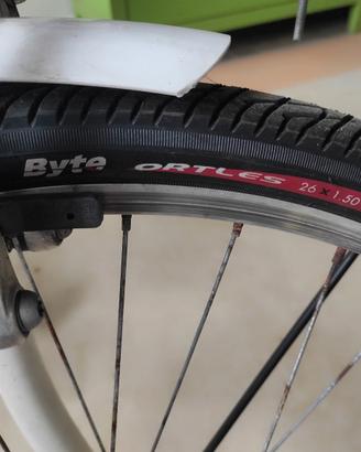 Bicicletta- Cyti Bike - 