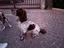 Immagine 3