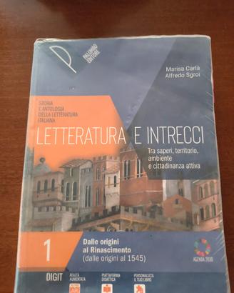 Letteratura e intrecci 1