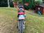 Immagine 6