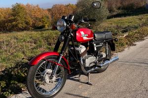 Jawa 350 Style - 2025