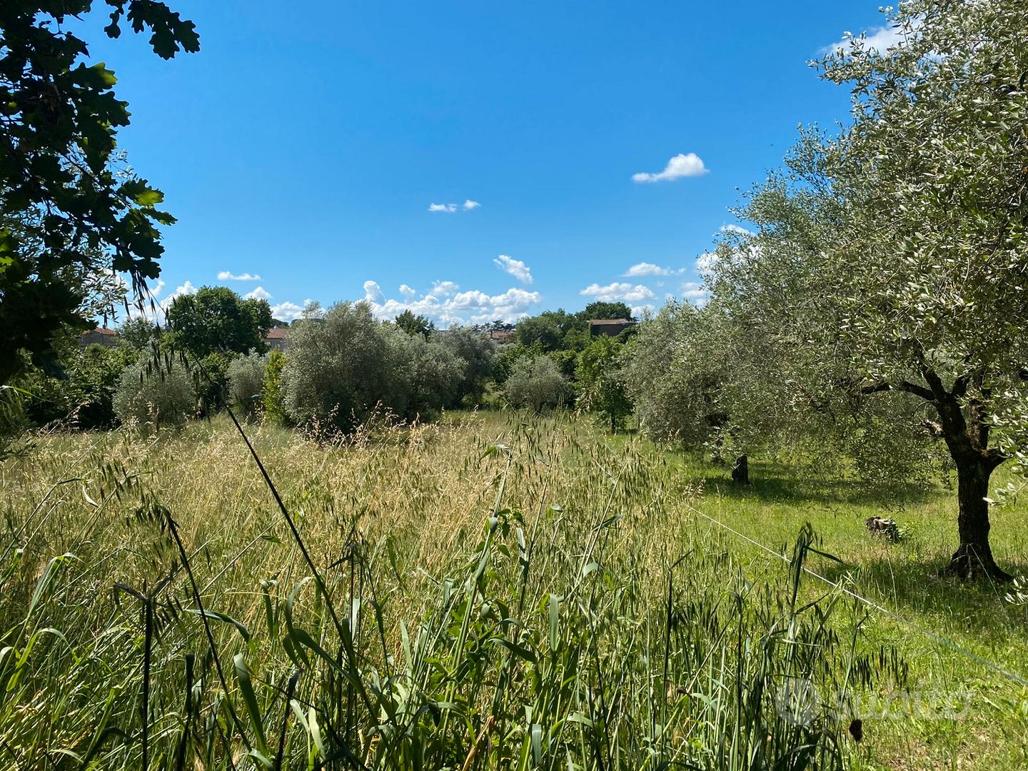 Terreno edificabile - Vista 2