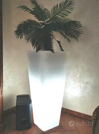 vaso luminoso 