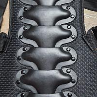 Tartaruga equitazione