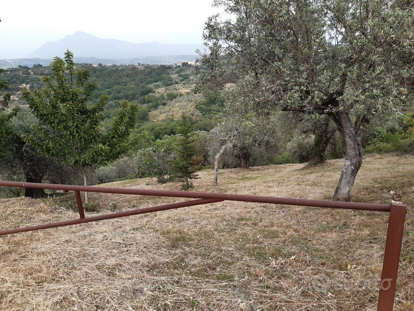 Terreno di 4.200 mq con rudere e vista panoramica - Vista 2