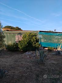 Campagna