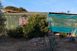Campagna