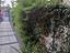 Immagine 11