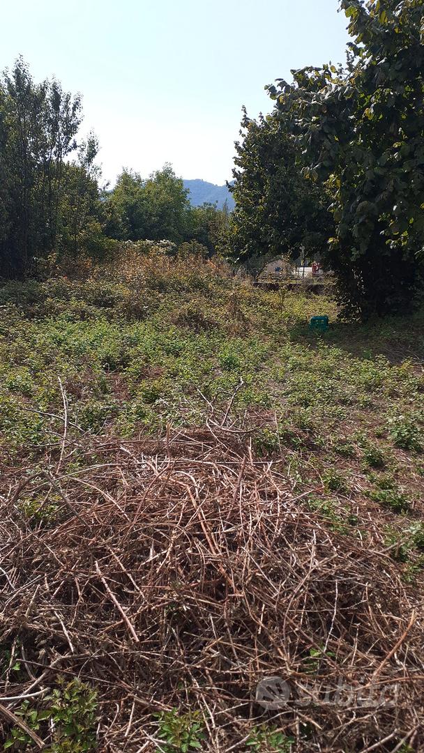 Terreno rustico ad Acerno - Vista 4