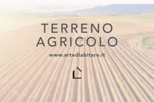 SPINEA Terreno agricolo di 2300 MQ S702