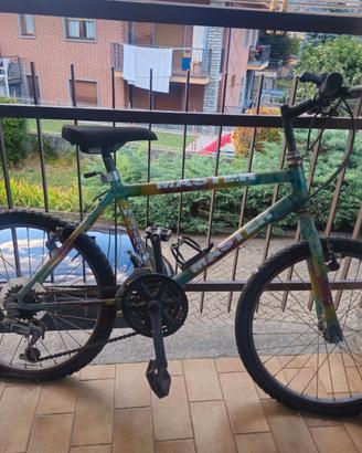 Bicicletta 20" bambino