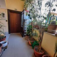 Montesanto Via San Cristoforo All'Olivella R.406V