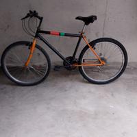 bici montainbike