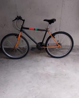 bici montainbike