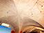 Immagine 10