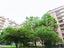 Immagine 26