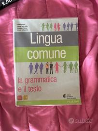 Lingua comune; grammatica e testo