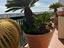 Immagine 5