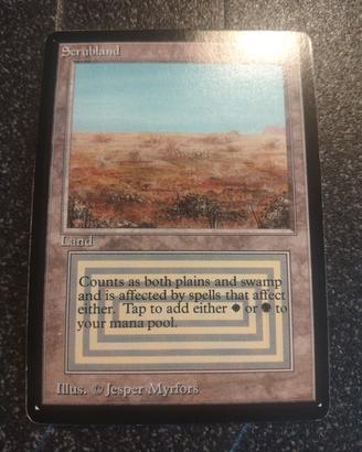 The Magic Gathering Scrubland 